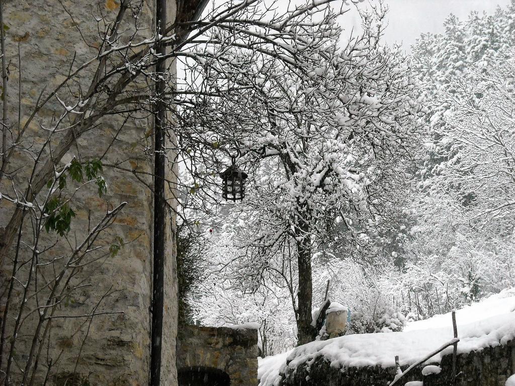 La Piazzetta Di Canale